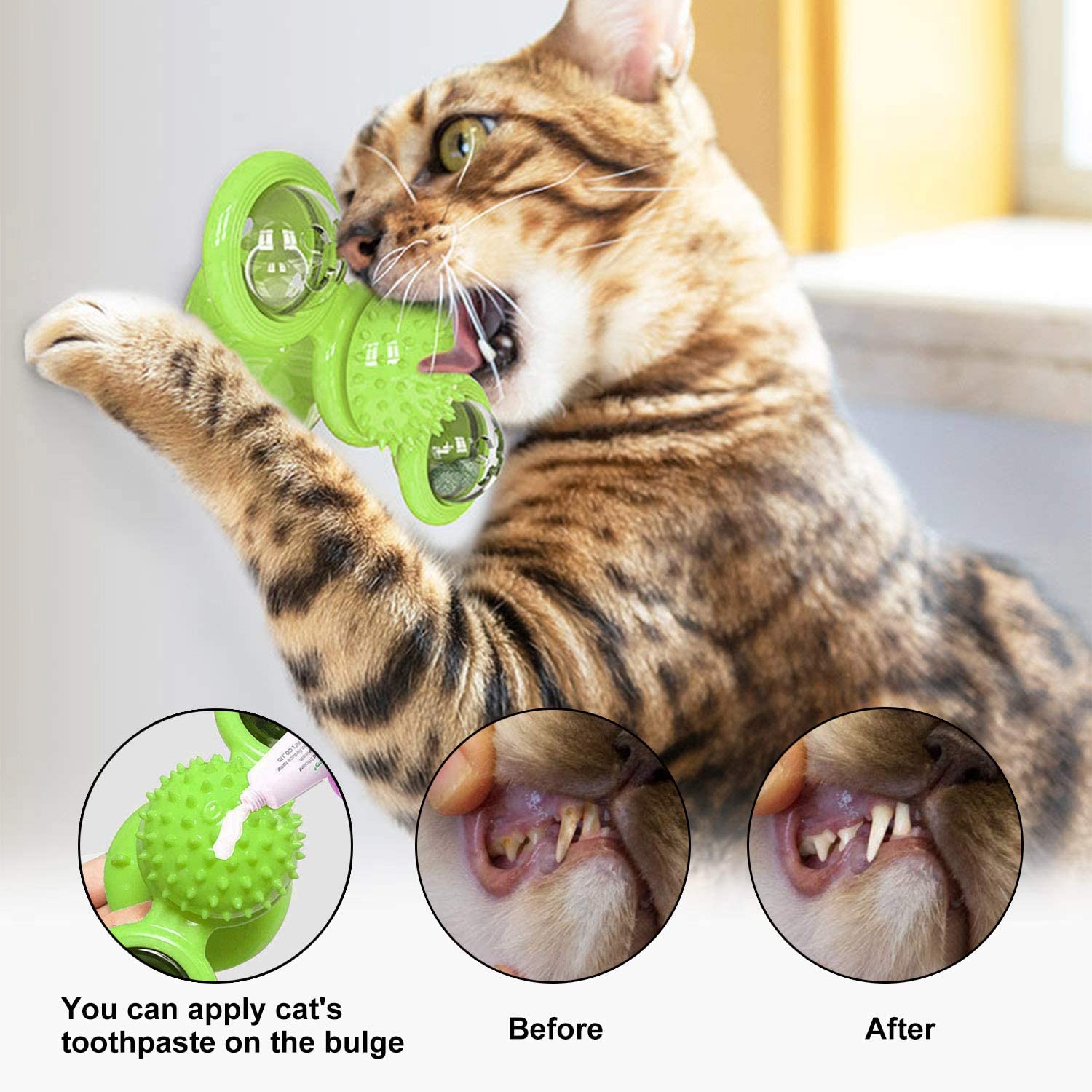 3-in-1 Windmill Cat Toy
