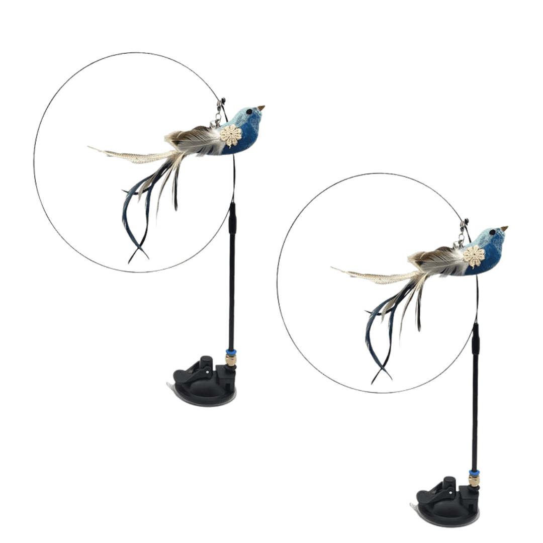 Interactive Bird Simulation Cat Toy Set Double Bundle